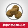 「ドッグフード サイエンスダイエット 犬 ライト 1歳〜6歳 肥満傾向の成犬用 チキン 6.5kg 1袋 ヒルズ ドライ」の商品サムネイル画像4枚目