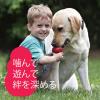 「パピーコング S 犬用おもちゃ コングジャパン」の商品サムネイル画像3枚目