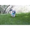 「コング スモールウァバ ライトブルー 犬用おもちゃ コングジャパン」の商品サムネイル画像4枚目