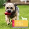 「コング S 犬用おもちゃ コングジャパン」の商品サムネイル画像4枚目