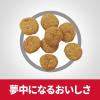 「ドッグフード サイエンスダイエット 犬 減量サポート 小型犬 1歳以上 超小粒 避妊・去勢後にも チキン 1.3kg 1袋 ヒルズ ドライ」の商品サムネイル画像5枚目
