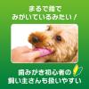 「指サック歯ブラシ ペットキッス（PETKISS）犬猫用 国産 3本 ライオンペット」の商品サムネイル画像4枚目