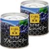 「【ワゴンセール】国分グループ本社 KK にっぽんの果実 岩手県産 ブルーベリー 1セット（2個）」の商品サムネイル画像1枚目