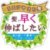 「ヘアアクセルレーター L レモンライムの香り 加美乃素本舗」の商品サムネイル画像3枚目