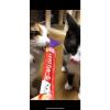 「いなば CIAO チャオ ちゅーる 猫 サーモン＆とりささみ 国産（14g×4本）2袋 ちゅ〜る キャットフード 猫用 おやつ」の商品サムネイル画像2枚目