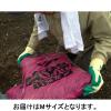 「【天然ゴム背抜き手袋】 ショーワグローブ グリップ（ソフトタイプ）グリーン No.310 M 1セット（30双：1双入×30袋）」の商品サムネイル画像5枚目