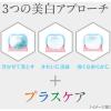 「歯磨き粉 ホワイトニング シティース ホワイト プレミアム ダブルミント 70g 第一三共ヘルスケア」の商品サムネイル画像8枚目