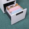 「アスクル　ボックスファイル　A4ヨコ　ダンボール製　ピンク　50冊  オリジナル」の商品サムネイル画像2枚目