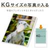 「セキセイ　クリアポケット　A6（148×105mm）　AZ-540　1箱（300枚：30枚入×10袋）」の商品サムネイル画像5枚目