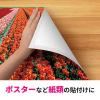 「スリーエム(3M) スコッチ 一般用両面テープ 多用途 幅20mm×長さ20m 1巻 PGD-20」の商品サムネイル画像3枚目