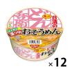 「日清食品 日清のどん兵衛 温つゆおそうめんミニ カップ麺ミニ 素麺 12個」の商品サムネイル画像1枚目