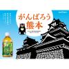 「ポッカサッポロ 玉露入りお茶 熊本城復旧応援ラベル 350ml 1箱（24本入）」の商品サムネイル画像3枚目