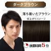 「ルシード ワンプッシュケアカラーダークブラウン 6 メンズ用 無香料 白髪染め マンダム（医薬部外品）」の商品サムネイル画像3枚目