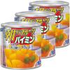 「はごろもフーズ　朝からフルーツパイミン　190g　1セット（3缶）」の商品サムネイル画像1枚目