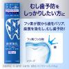 「歯磨き粉 フッ素 クリアクリーン プレミアム 薬用ハミガキ 100g 1セット（2本） 花王 虫歯・口臭予防」の商品サムネイル画像7枚目