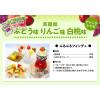 「蒟蒻畑　りんご味　6袋 マンナンライフ　蒟蒻ゼリー　一口ゼリー」の商品サムネイル画像7枚目