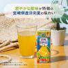 「カゴメ 野菜生活100 宮崎日向夏ミックス 195ml 1箱（24本入）」の商品サムネイル画像3枚目