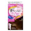「ビゲン 香りのヘアカラー クリーム 4 ライトブラウン 白髪染め hoyu（ホーユー）」の商品サムネイル画像1枚目