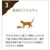 「ピュリナワン 猫 グレインフリー チキン 1.6kg（400g×4袋）1袋 キャットフード ドライ ネスレ日本」の商品サムネイル画像7枚目