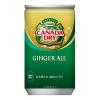 「コカ・コーラ カナダドライ ジンジャーエール 160ml 1箱（30缶入）」の商品サムネイル画像2枚目