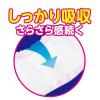 「アテント 大人用おむつ 尿とりパッドスーパーテープ用パッド  2回  51枚:（1パック×51枚入）エリエール 大王製紙」の商品サムネイル画像3枚目