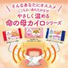 「桐灰 命の母 カイロ 貼るタイプ 1パック（10個入） 小林製薬」の商品サムネイル画像3枚目