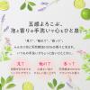 「ウォシュボン ハーバル薬用泡ハンドソープ 詰め替え用大容量 500ml サラヤ【泡タイプ】」の商品サムネイル画像4枚目
