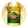 「【ワゴンセール】コカ・コーラ カナダドライ ジンジャーエール 350ml 1セット（6本）（わけあり品）」の商品サムネイル画像3枚目
