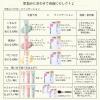 「ちふれ化粧品 モイスチャーパウダーファンデーションN34 SPF20・PA++」の商品サムネイル画像4枚目