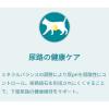 「ピュリナワン 猫 避妊・去勢した猫の体重ケア チキン 2kg 1袋 キャットフード ドライ ネスレ日本」の商品サムネイル画像9枚目
