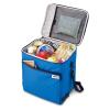 「サーモス（THERMOS） ソフトクーラー 20L ブルー RFD-020 BL 1個」の商品サムネイル画像3枚目
