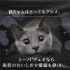 「シーバ デュオ 旨みがつお味セレクション 200g 5個 キャットフード 猫 ドライ」の商品サムネイル画像4枚目