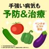 「殺虫殺菌剤 スプレー カメムシ駆除 園芸用品 アースガーデン 野菜うまし 1000ml 1個 果樹 家庭菜園 殺虫剤 殺菌剤 対策 虫よけ アース製薬」の商品サムネイル画像4枚目