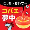 「捕獲 駆除 予防 コバエがホイホイ 1箱（6個入） 捕獲器 置き型 退治 対策 殺虫 誘引 ショウジョウバエ ノミバエ アース製薬」の商品サムネイル画像4枚目