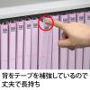 「プラス 背補強フラットファイル バイオレット A4タテ 79432 1袋（10冊入）」の商品サムネイル画像3枚目
