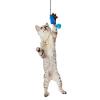 「ペティオ 大好きブルーの猫じゃらし マウス＆ボール 猫用 おもちゃ」の商品サムネイル画像3枚目