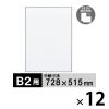 「ポスターフレーム B2サイズ 軽量アルミ製 DSパネル 12枚 シルバー 1000012561 アートプリントジャパン」の商品サムネイル画像1枚目