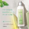 「L’OCCITANE（ロクシタン） ミントヴァーベナ ソルベボディジェル 250mL」の商品サムネイル画像4枚目