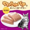 「カルカン 成猫 パウチ やわらかパテ かつお 着色料・発色剤無添加 総合栄養食 70g 16袋 キャットフード ウェット」の商品サムネイル画像5枚目