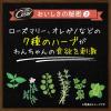 「シーザー 犬 自然素材レシピ ラム＆さつまいも・にんじん 85g 28個 ドッグフード ウェット トレイ」の商品サムネイル画像6枚目