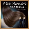 「ＴＳＵＢＡＫＩ　プレミアムＥＸ　ダメージケア＆リペア　コンディショナートリートメント詰替　３００mＬ　ファイントゥデイ」の商品サムネイル画像3枚目