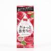 「エルビー ぎゅっと果実+酢 ざくろミックス 200ml 1箱（24本入）」の商品サムネイル画像6枚目