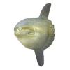 「【アウトレット】サンタン 発掘！海の生き物せっけん 1セット（12個アソート）　」の商品サムネイル画像8枚目