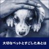 「ビオレガード 薬用泡ハンドソープ 本体250ml 無香料 1セット（2個） 花王【泡タイプ】」の商品サムネイル画像8枚目