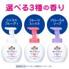 「キレイキレイ 薬用 ハンドソープ 泡 フローラルソープの香り 本体 250ml 1セット（4個） 殺菌 保湿 ライオン【泡タイプ】」の商品サムネイル画像8枚目