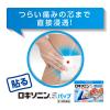 「ロキソニンSパップ 7枚 3箱セット 第一三共ヘルスケア ★控除★ 腰・肩・ふくらはぎなどの広範囲な部位に【第2類医薬品】」の商品サムネイル画像6枚目