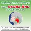 「サトウ駆風解毒湯エキストローチ 18錠 2箱　佐藤製薬 のどがはれて痛む 扁桃炎 扁桃周囲炎 トローチ トローチ剤【第2類医薬品】」の商品サムネイル画像8枚目