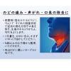 「スコールトローチS　24錠 6箱セット　大和合同製薬　のどのはれ 声がれ　」の商品サムネイル画像6枚目