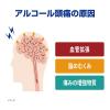 「アルピタン 6包 3個　小林製薬【第2類医薬品】」の商品サムネイル画像5枚目