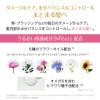 「ロレアル パリ エルセーヴ ヘアオイル ピュア セラム 100mL 集中補修 無香料(洗い流さないトリートメント)3個」の商品サムネイル画像7枚目